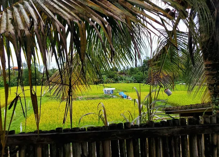 Kakau 2 - Villa